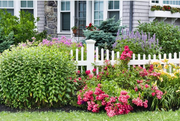 handsome landscaping in finding